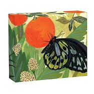 Butterflies: Quicknotes