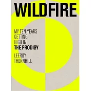 Wildfire: The First Decade of the Prodigy
