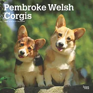 Pembroke Welsh Corgis 2025 12 X 24 Inch Monthly Square Wall Calendar Plastic-Free