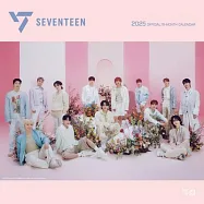Seventeen Official 2025 12 X 24 Inch Monthly Square Wall Calendar Plastic-Free