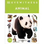 Eyewitness Animal