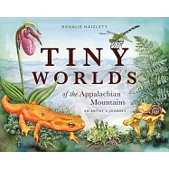 Tiny Worlds of the Appalchian Mountains: An Artist&rsquo;s Journey