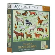 Field Guide to Magnificent Horses