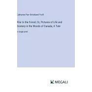 Afar In the Forest; Or, Pictures of Life and Scenery in the Woods of Canada, A Tale: in large print