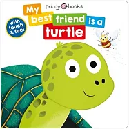 My Best Friend Is a Turtle