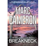 Breakneck: A Captivating Novel of Suspense