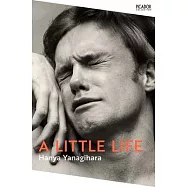 Little Life, A: The Million-Copy Bestseller: Picador Collection