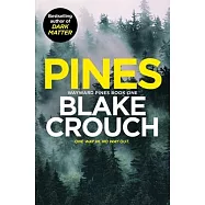 Pines: Wayward Pines