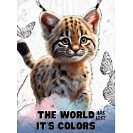 The world has lost it&rsquo;s colors: A Christian book for kids