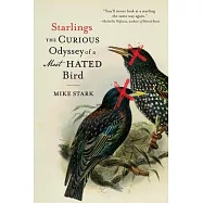 Starlings: The Curious Odyssey of a Most Hated Bird