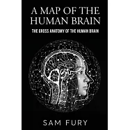 A Map of the Human Brain: The Gross Anatomy of the Human Brain