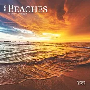 Beaches 2025 7 X 14 Inch Monthly Mini Wall Calendar Browntrout Travel Nature Tropical