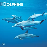 Dolphins 2025 12 X 24 Inch Monthly Square Wall Calendar Plastic-Free Browntrout Dolphin Mammals Sea