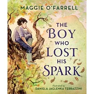 The Boy Who Lost His Spark