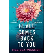 It All Comes Back to You