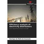 Efficiency analysis of electricity distributors