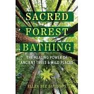 Sacred Forest Bathing: The Healing Power of Ancient Trees and Wild Places