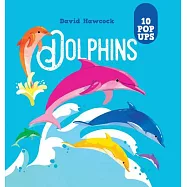 Dolphins: 10 Pop-Ups