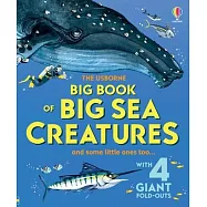 Big Book of Big Sea Creatures