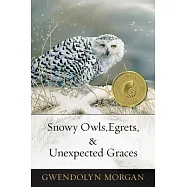 Snowy Owls, Egrets & Unexpected Graces