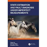 State Estimation and Fault Diagnosis Under Imperfect Measurements
