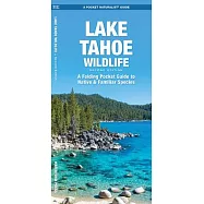 Lake Tahoe Wildlife