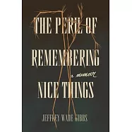 The Peril of Remembering Nice Things