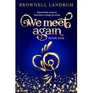 We Meet Again: An epic reincarnation mystery about a famous couple reunited to change the world.