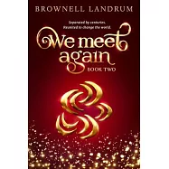 We Meet Again: Book Two of the acclaimed reincarnation mystery about a famous couple reunited to change the world.