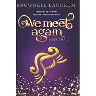 We Meet Again: Book Three of the celebrated reincarnation mystery about a famous couple reunited to change the world.