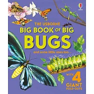 Big Book of Big Bugs