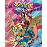 Pokémon: Sword & Shield, Vol. 13