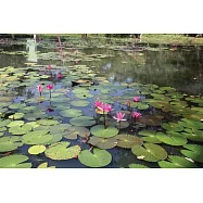 Gardens of Sri Lanka: 2000 Years of Landscape Architecture Tradition