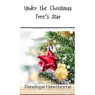 Under the Christmas Tree’s Star
