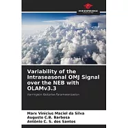 Variability of the Intraseasonal OMJ Signal over the NEB with OLAMv3.3