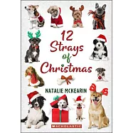 12 Strays of Christmas: A Wish Novel
