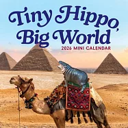 Tiny Hippo, Big World Mini Calendar 2026