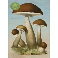 John Derian Paper Goods: Mushrooms 1,000-Piece Puzzle