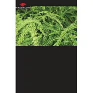 Ferns and Lycophytes from Lajinha Park, Minas Gerais, Brazil