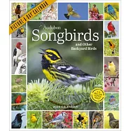 Audubon Songbirds and Other Backyard Birds Picture-A-Day(r) Wall Calendar 2026