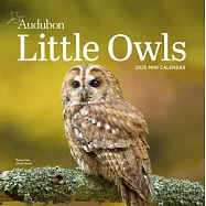 Audubon Little Owls Mini Wall Calendar 2026