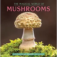 The Magical World of Mushrooms Wall Calendar 2026