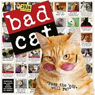 Bad Cat Wall Calendar 2026: Celebrating the Misfits of the Feline World