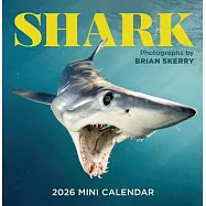 Shark Mini Wall Calendar 2026