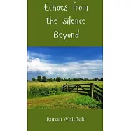 Echoes from the Silence Beyond