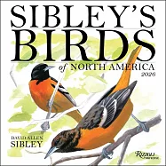 Sibley&rsquo;s Birds of North America 2026 Wall Calendar