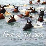 Out of the Sea: Today’s Chincoteague Pony