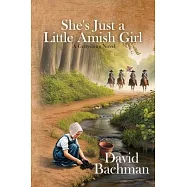 She&rsquo;s Just a Little Amish Girl: A Gettysburg Novel