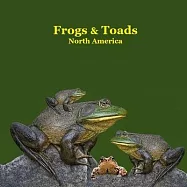 Frogs and Toads of North America Kids Book: Great Children’s Book about the types of North American Frogs and Toads