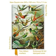 Ernst Haeckel: Hummingbirds (Foiled Quarto Journal)